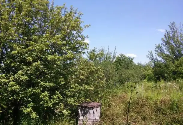 Продам участок в СНТ Лотос, фотография 3