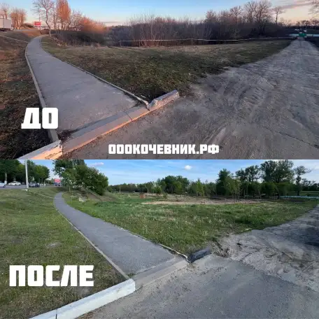 Спил деревьев и кустарников, мульчирование, фотография 8