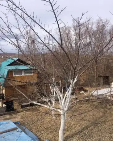 Срочно продам дачу!!! 10,00 м2, фотография 4