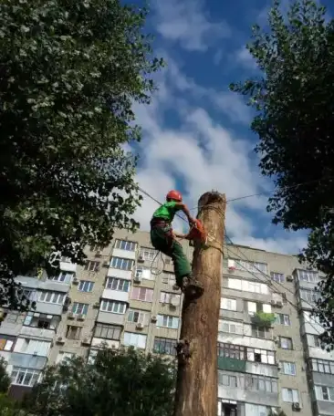 Бригада промышленных альпинистов, фотография 5