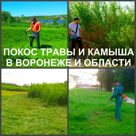 Покос травы Воронеж, косить траву в Воронеже, фотография 3