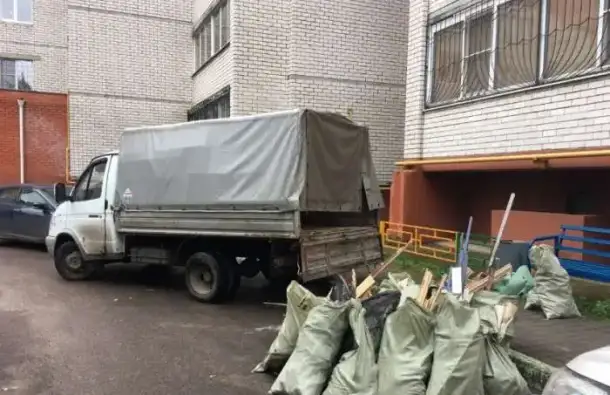 Вывоз мусора на газоне, фотография 3