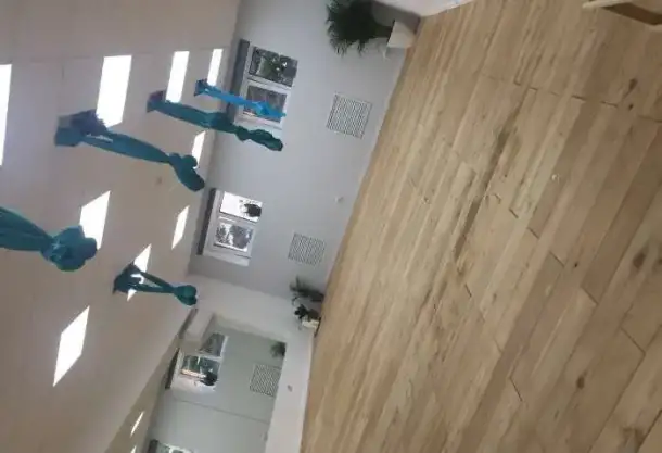 Студия йоги ProskuraYoga приглашает на занятия по аэро и хатха-йоге, фотография 1