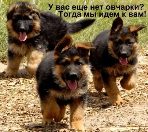 Я родился, фотография 1