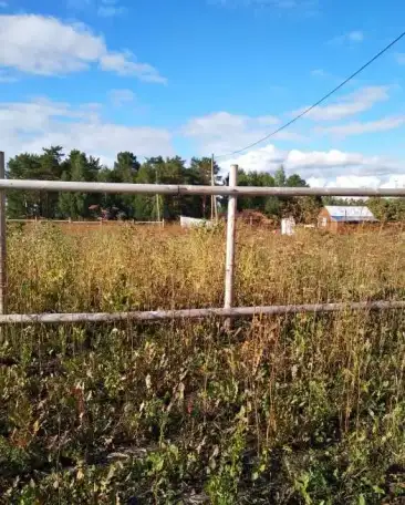 В живописном месте ровный участок продам, Днт заустюжье 3, фотография 2