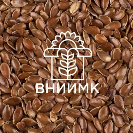 Семена масличного льна ВНИИМК сорт Бирюза, фотография 1
