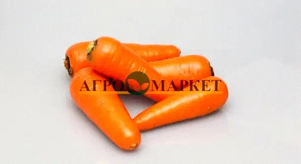 Морковь абако f1 2,0-2,2 (1 000 000 семян) seminis, фотография 2