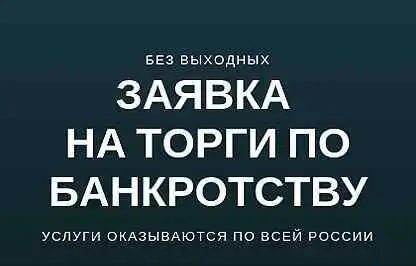 Торги по банкротству. Выкупим лот для Вас, фотография 1