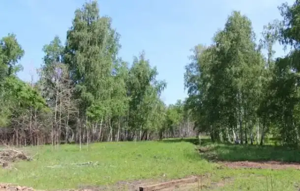 Красивый участок площадью 6,5 соток под ИЖС в посёлке Петровский!!!, фотография 1