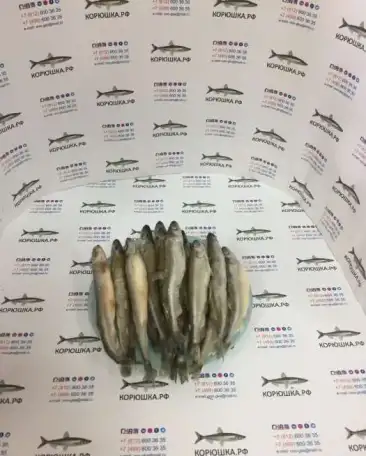 Корюшка средняя: 15-17 см (блок 11 кг), фотография 2