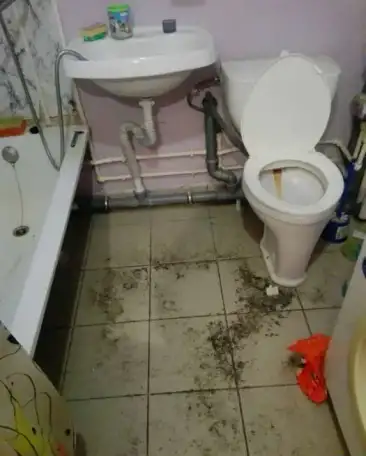 Домработница уборка квартир коттеджей, фотография 1