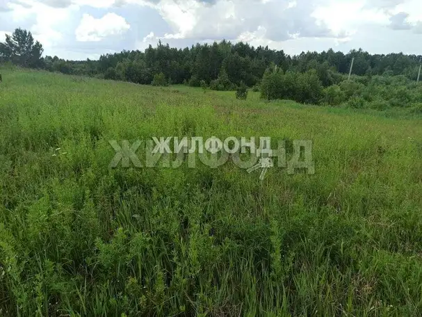 Продается земельный участок 12 сот., фотография 7