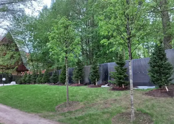 Уход за садом, благоустройство, фотография 2
