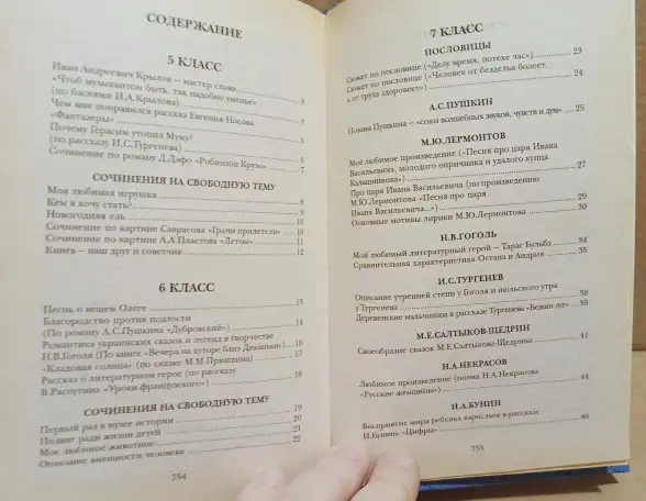 800 золотых страниц. Сборник лучших сочинений для школьников и абитуриентов, фотография 4