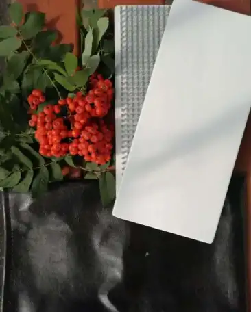 Садху доски с гвоздями, фотография 3