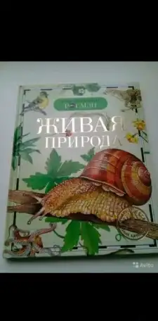 Книги для детей, фотография 1