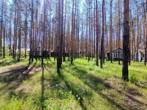 Продам коммерческую недвижимость 54 000,00 м2, фотография 1