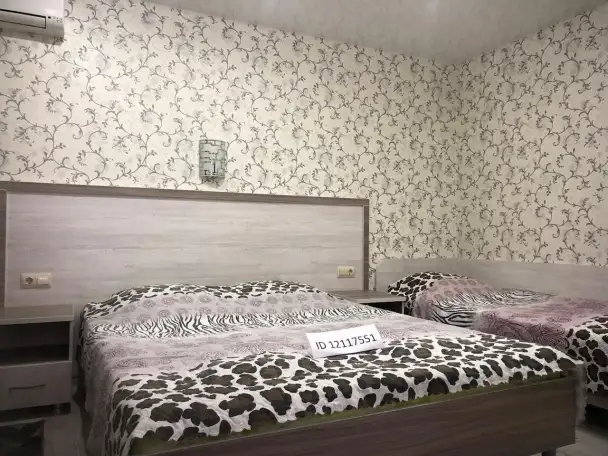 Отдых в Сочи. Гостевой дом Василёк в Лазаревском., фотография 6