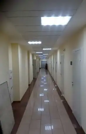 ОБОИ, подготовка - стен, потолков, Декоративная штукатурка., фотография 1