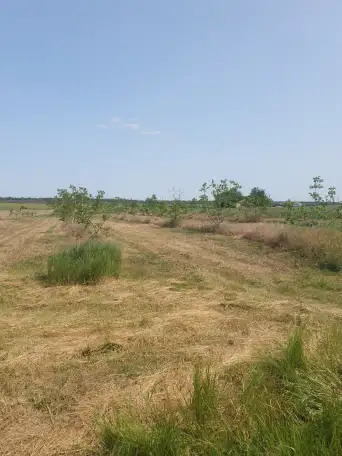 Земельный Участок, с.Македоновка.Володарский м.о., фотография 1