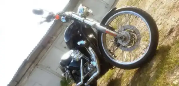Harley-Davidson Sportster XL1200 Custom, фотография 1