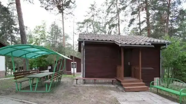 Отдых среди сосен на Волге, фотография 2