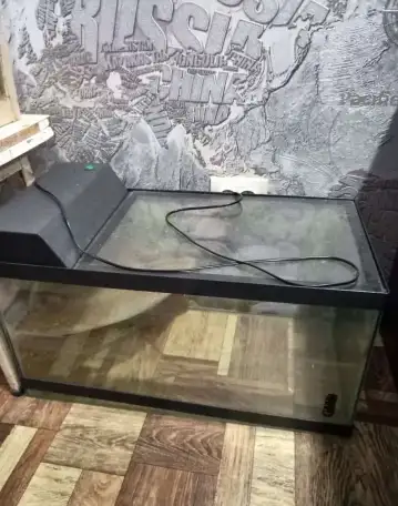аквариум, фотография 1
