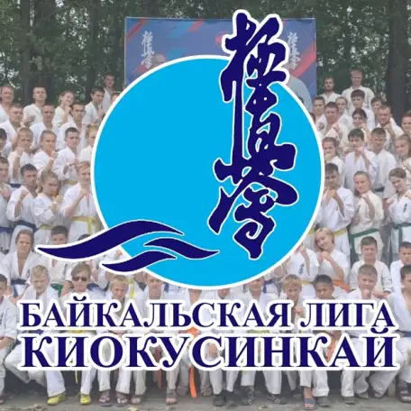 Ебиноборства. Карате Киокусинкай, фотография 1