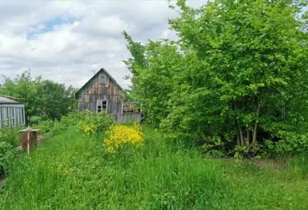 Продам сад, фотография 1