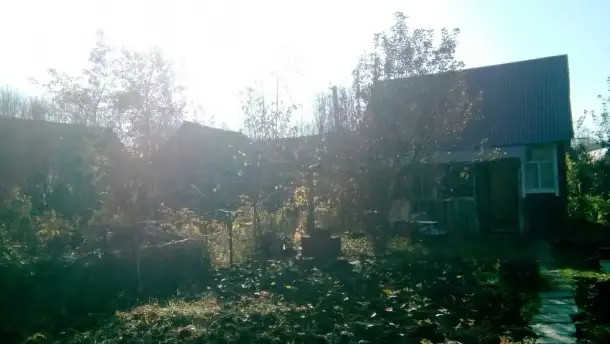 Продажа дачи, фотография 2