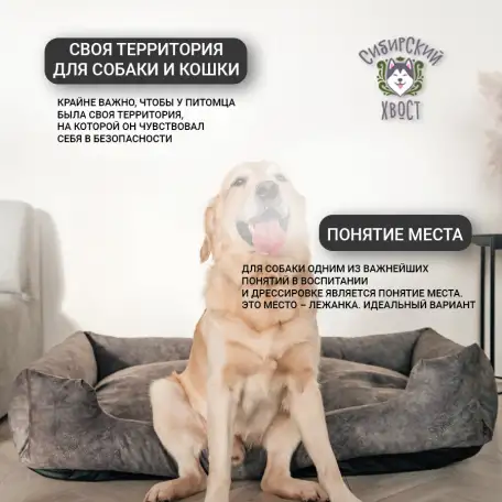 Лежанка собак, фотография 4