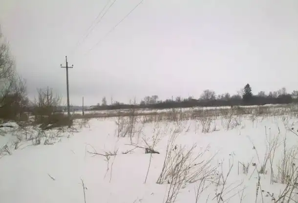 обменяю на денежные средства, село Татарское, фотография 1