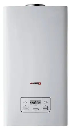 Газовый котел protherm пантера 25 kto (2010) 24.6 квт одноконтурный, фотография 1
