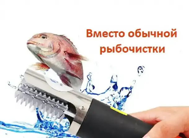Рыбочистка, фотография 2