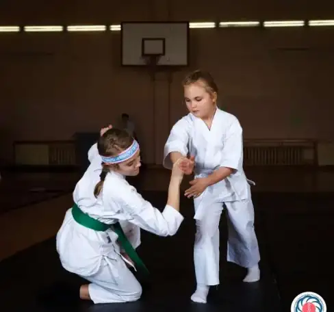Айкидо для девочек 7-12 лет. Юго-Запад ВИЗ Центр, фотография 2