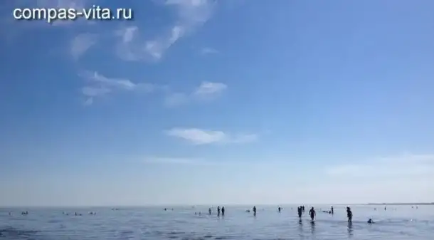 Отдых на Кулундинском озере, фотография 2
