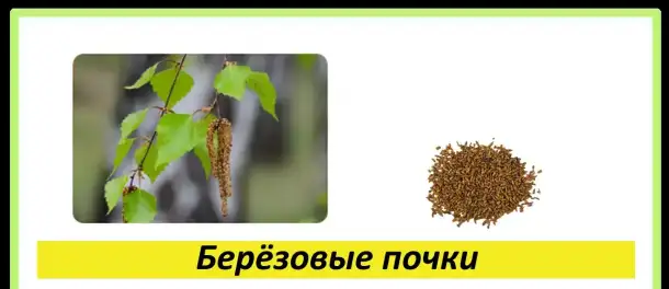 Целебные травы в каждый дом!, фотография 4