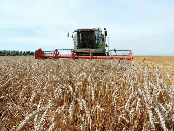 Продам коммерческую недвижимость 0,00 м2, Центральная ул.,, фотография 1