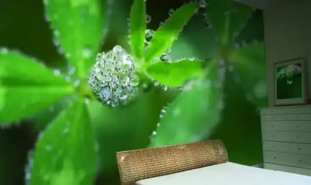 Натяжные потолки и тканевые стены, фотография 4