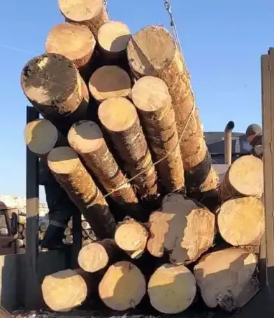 Продам лес кругляк пиловочник хвойный, фотография 2