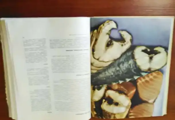Книга о вкусной и здоровой пище. СССР, 1965 год., фотография 6