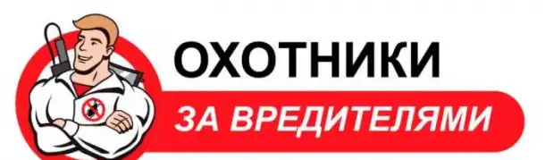 Уничтожение всех видов вредителей, фотография 1