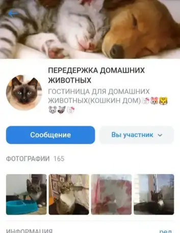 Передержка домашних животных.Зоогостиница, фотография 10