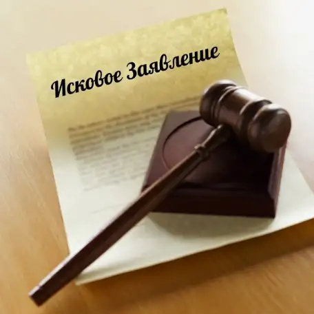 Исковое заявление, фотография 1