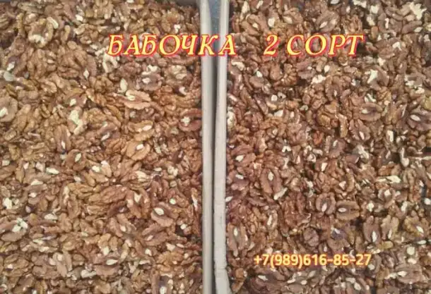 Орех грецкий чищенный, фотография 3