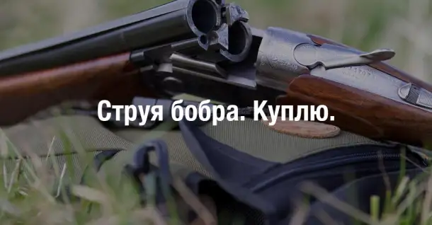 КУПЛЮ СТРУЮ БОБРА, фотография 1