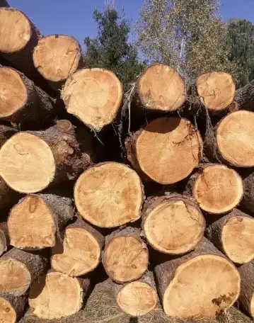Продам лес кругляк породы 
