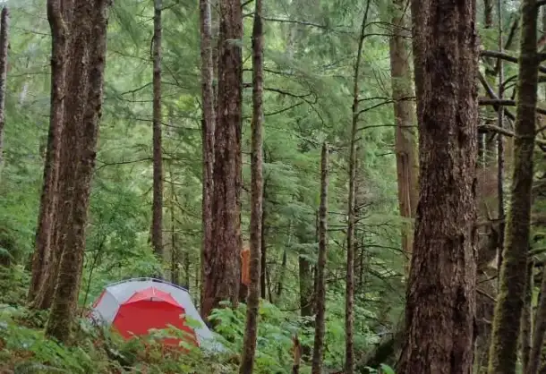 палатка Big Agnes Bird Beak SL2 новая. Внешний каркас.  полный вес: 2.1 кг., фотография 8
