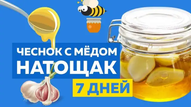 Профилактика народная мед с чесноком баночка, фотография 1