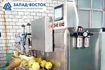 Машина для яблоко чистки и удаления сердцевины 400 кг/час, фотография 1